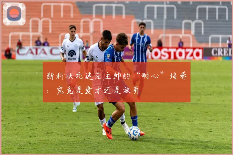 新科状元迷茫主帅的“耐心”培养，究竟是爱才还是放弃