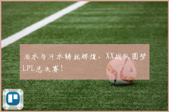 泪水与汗水铸就辉煌，XX战队圆梦LPL总决赛！