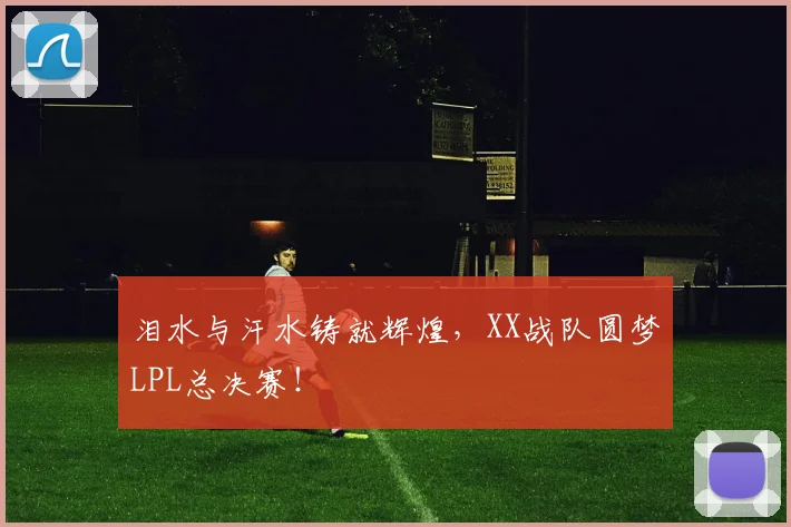 泪水与汗水铸就辉煌，XX战队圆梦LPL总决赛！