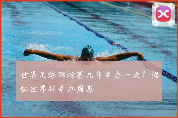 世界足球锦标赛几年举办一次？揭秘世界杯举办周期